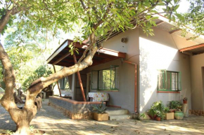 Wood Owl Bush Lodge